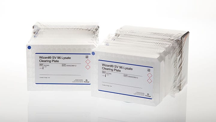 Wizard
