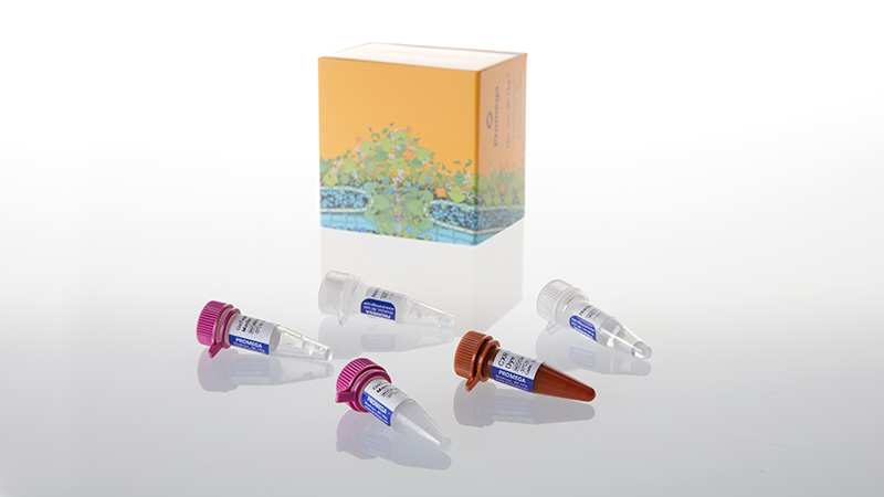 A6101_GoTaq--Probe-qPCR-Master-Mix--2ml_3