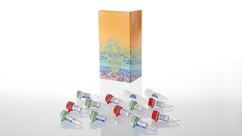 C8820_Flexi--System--Transfer_3