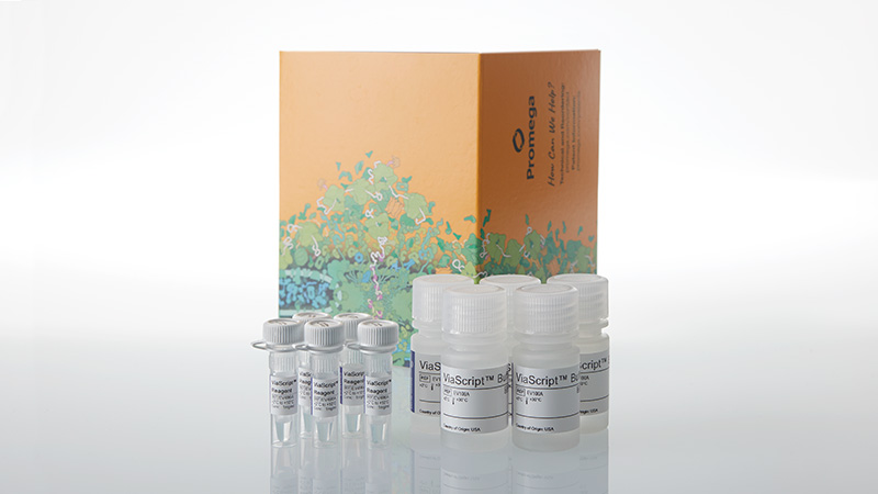 ev4965-viascript-mrna-transfection-reagent