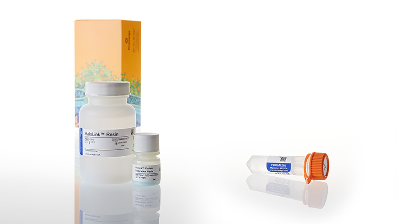 G6280_HaloTag-Protein-Purification-System