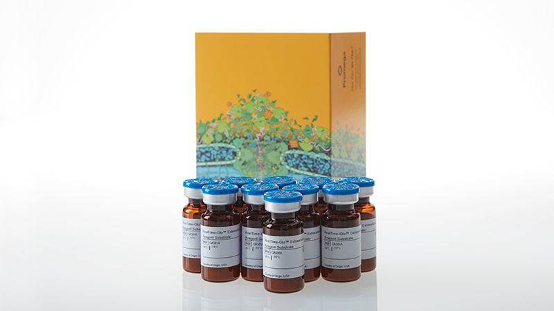 GA5012_RealTime-Glo-TM--Extracellular-ATP-Assay--10-x-200-assays_3