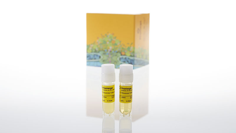 J3002_IL-23-Bioassay---Propagation-Model_3