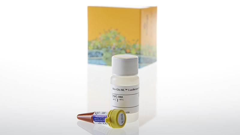 J3081_Bio-Glo-NL--Luciferase-Assay-System--10ml_3
