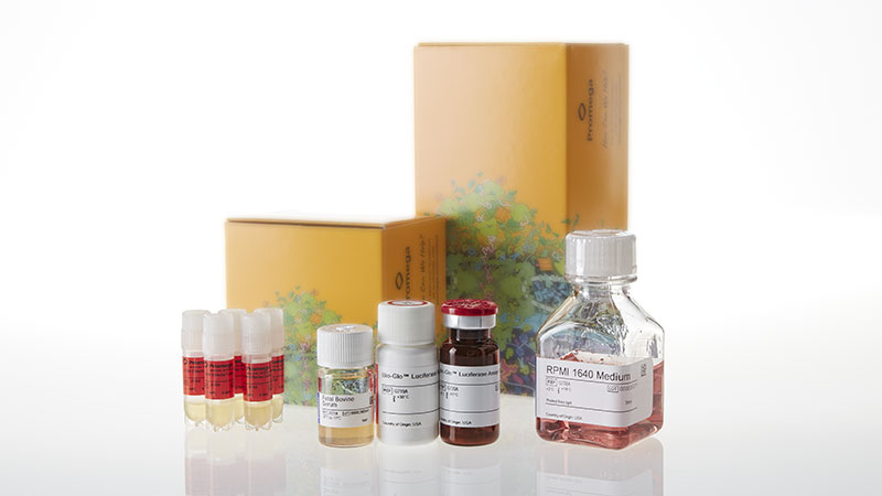 JA2155_CD40-BIOASSAY-5X_3