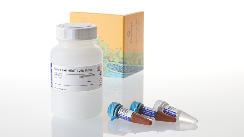 N3050_Nano-Glo--HiBiT-Lytic-Detect-Sys--10x-100ml_3