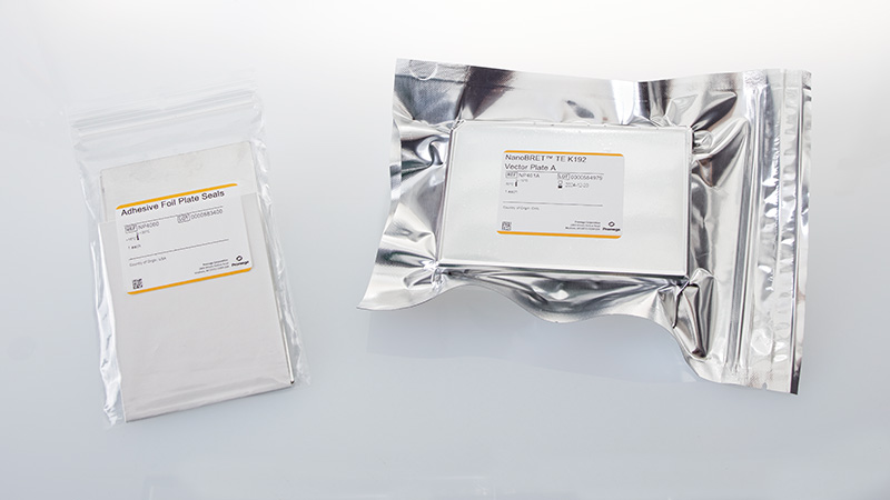 NanoBRET™ TE K192 Kinase Vector Panel 