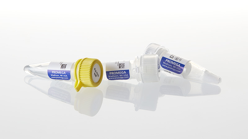 P1085_SP6-RNA-Polymerase--1-000u_3