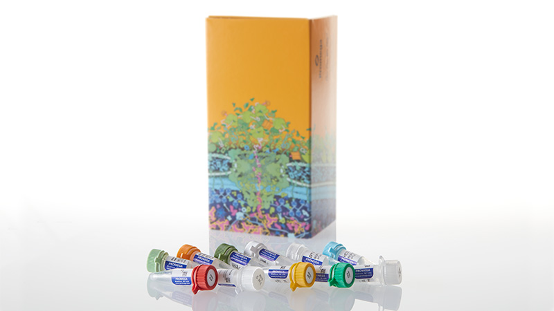 P1440_Riboprobe--System---T7_3