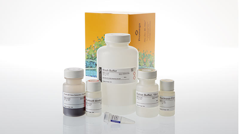 PowerSeq® Whole Mito Purification Kit
