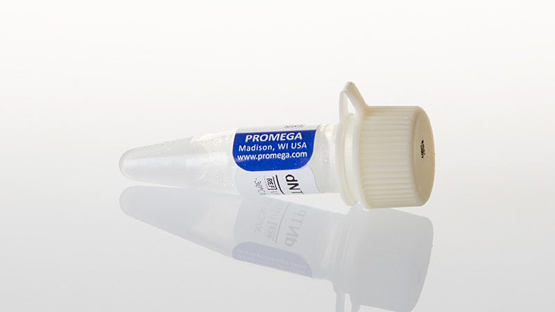 U1511_dNTP-Mix--10mM--200ul_3