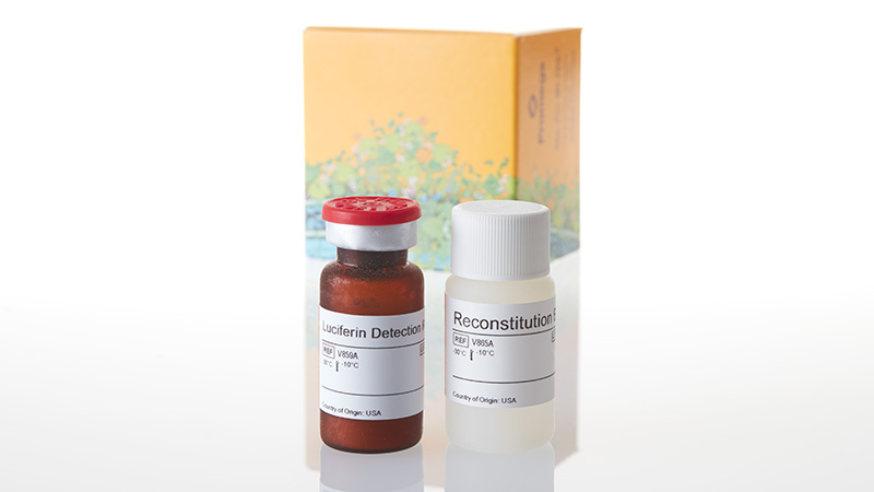 V8920_Luciferin-Detection-Reagent--10ml_3