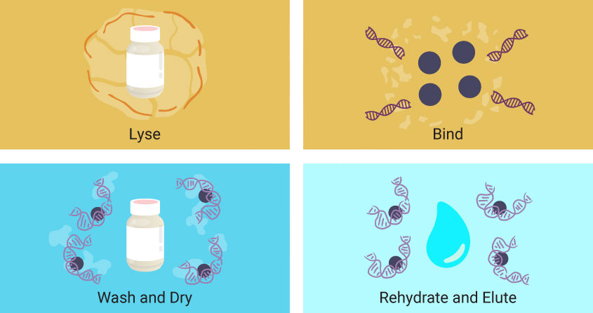 automated-nucleic-acid-extraction-image