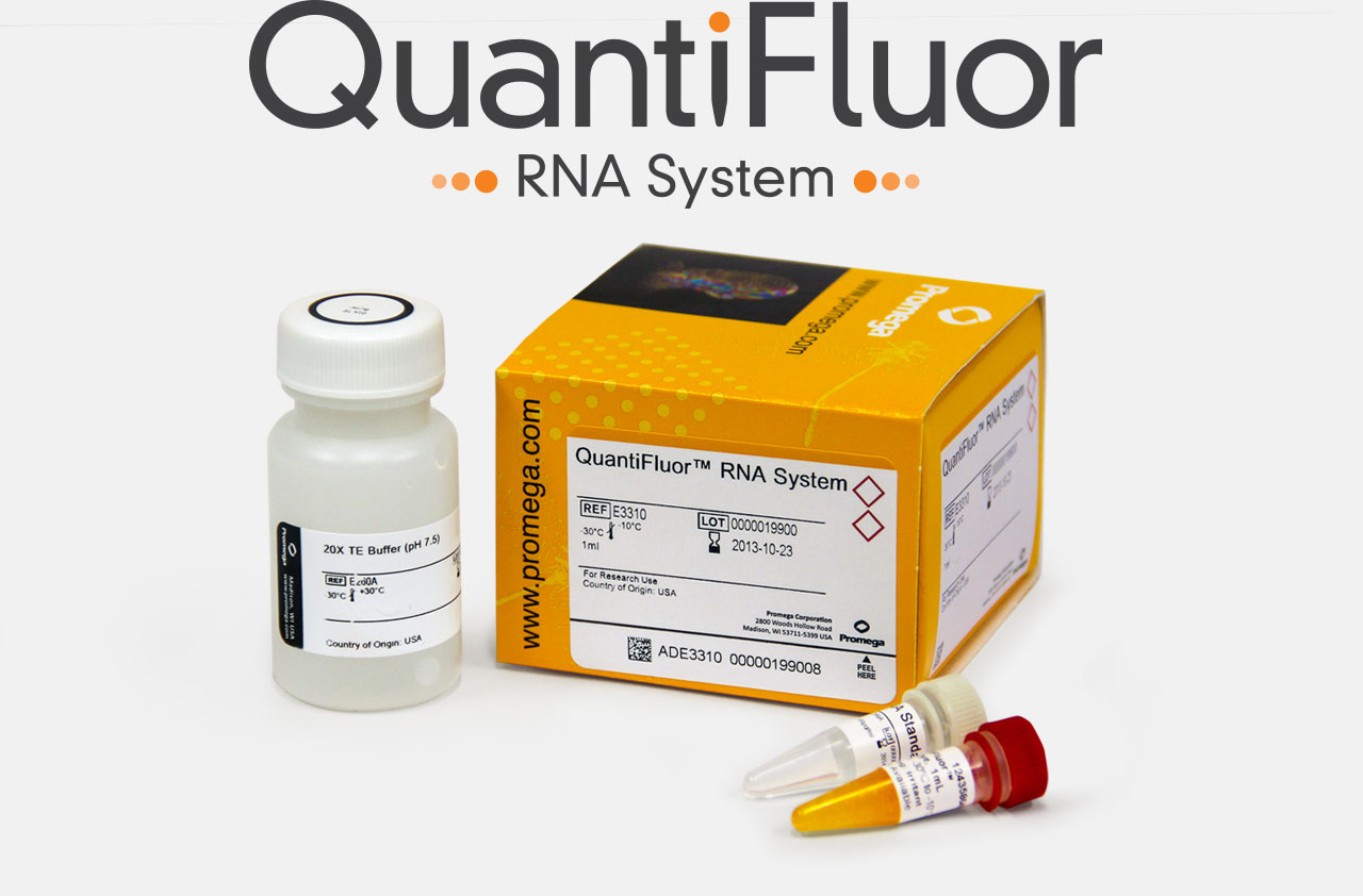 e3310o-RNA-overview