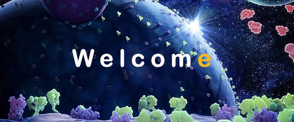 it-promo-welcome