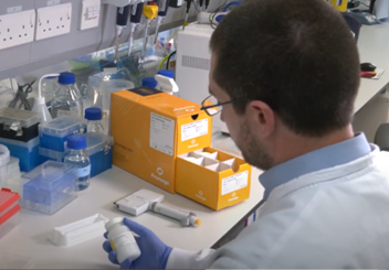 celltiterglo-assay
