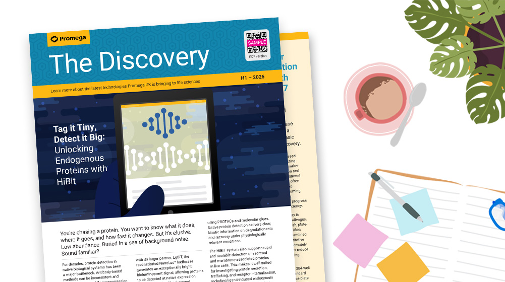 discovery-newletter-edition-1