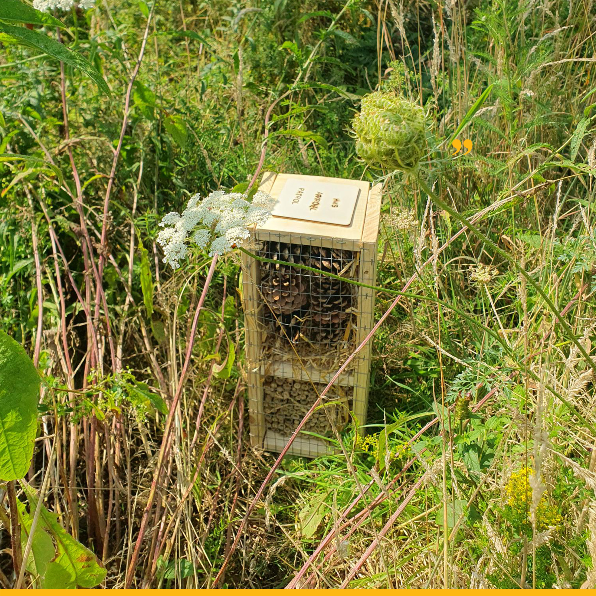 bug-hotel-1