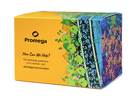new-kit-box