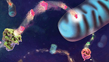 Understanding the Complicated Relationship Between Insulin, Glucagon and GIP