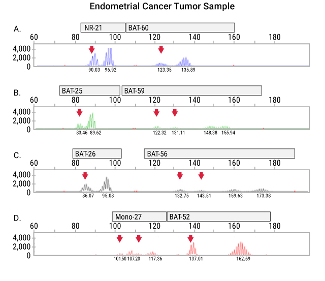 17491ma-a